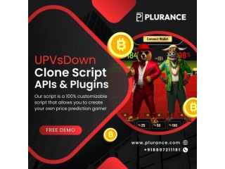 Ready to Launch Your Voting Platform? Discover the Power of Plurance's Upvsdown Clone Script!